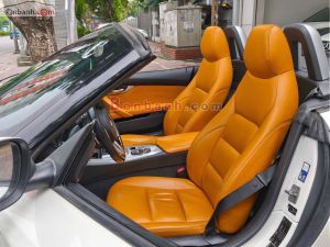 Xe BMW Z4 sDrive30i 2011