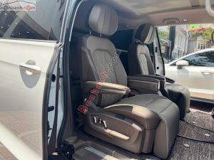 Xe Volkswagen Viloran Luxury 2024
