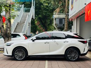 Xe Lexus RX 350 Luxury 2023